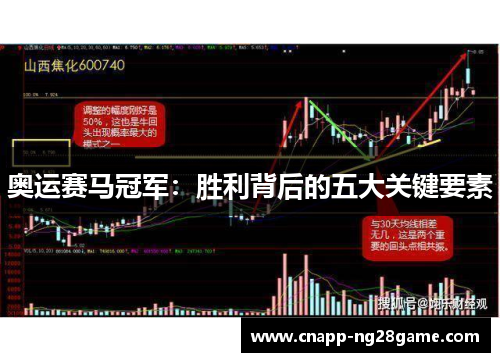 奥运赛马冠军：胜利背后的五大关键要素
