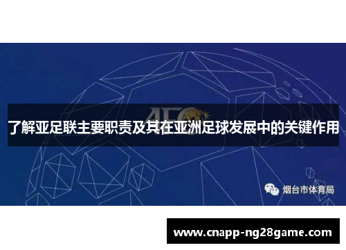 了解亚足联主要职责及其在亚洲足球发展中的关键作用