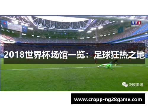 2018世界杯场馆一览：足球狂热之地