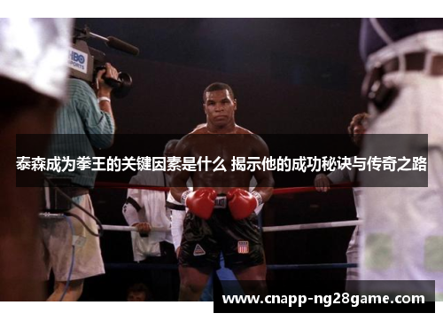 泰森成为拳王的关键因素是什么 揭示他的成功秘诀与传奇之路