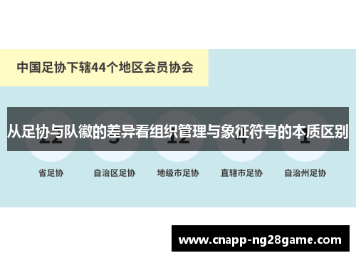 从足协与队徽的差异看组织管理与象征符号的本质区别