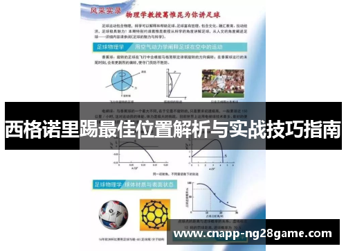 西格诺里踢最佳位置解析与实战技巧指南 西格诺里踢最佳位置解析与实战技巧指南