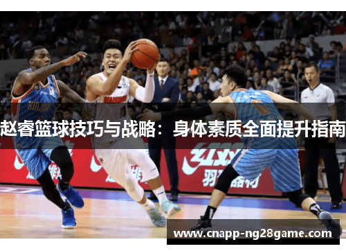 赵睿篮球技巧与战略：身体素质全面提升指南