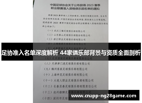 足协准入名单深度解析 44家俱乐部背景与资质全面剖析