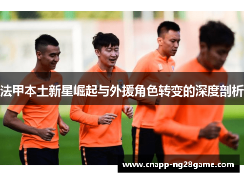 法甲本土新星崛起与外援角色转变的深度剖析