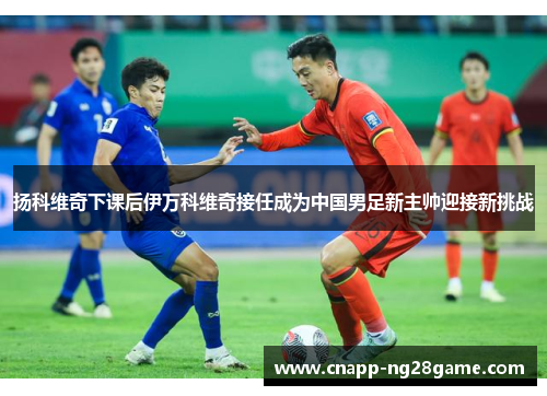 扬科维奇下课后伊万科维奇接任成为中国男足新主帅迎接新挑战