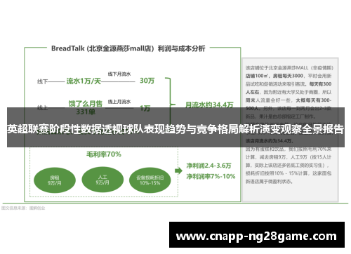 英超联赛阶段性数据透视球队表现趋势与竞争格局解析演变观察全景报告