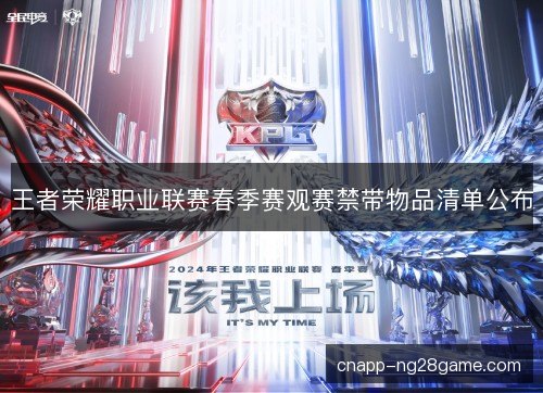王者荣耀职业联赛春季赛观赛禁带物品清单公布 王者荣耀职业联赛春季赛观赛禁带物品清单公布