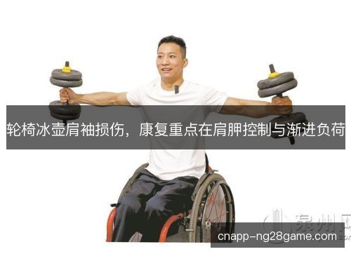 轮椅冰壶肩袖损伤，康复重点在肩胛控制与渐进负荷