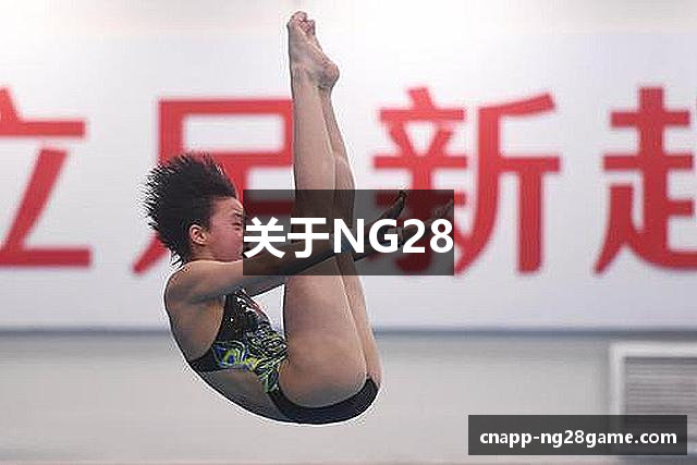 关于NG28